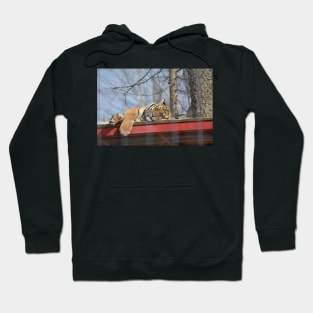 Tiger Hoodie